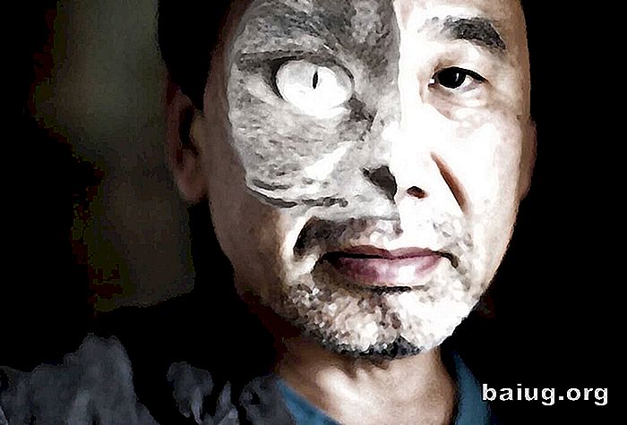 Ce am învățat prin citirea Murakami