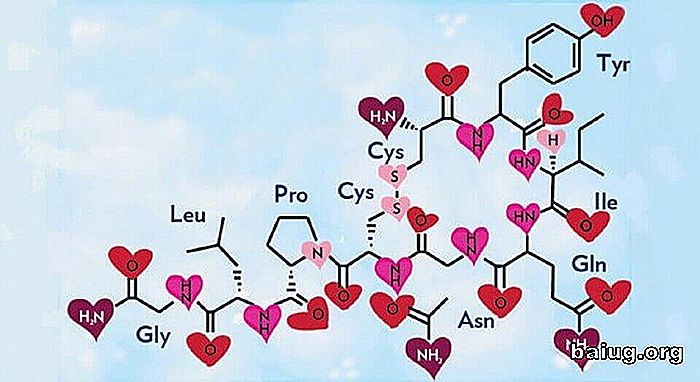 Oxytocin, det hormon av kärlek och lycka