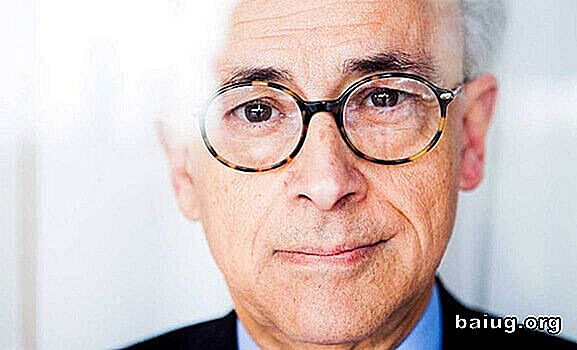 Antonio Damasio, de neuroloog van emoties