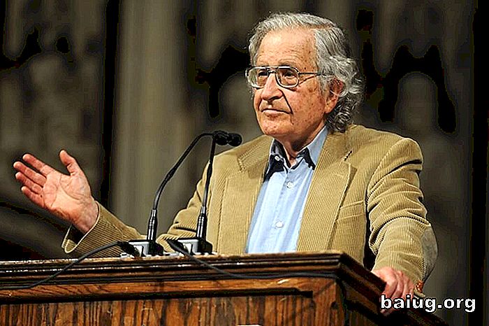 ¿Usted conoce a Noam Chomsky?
