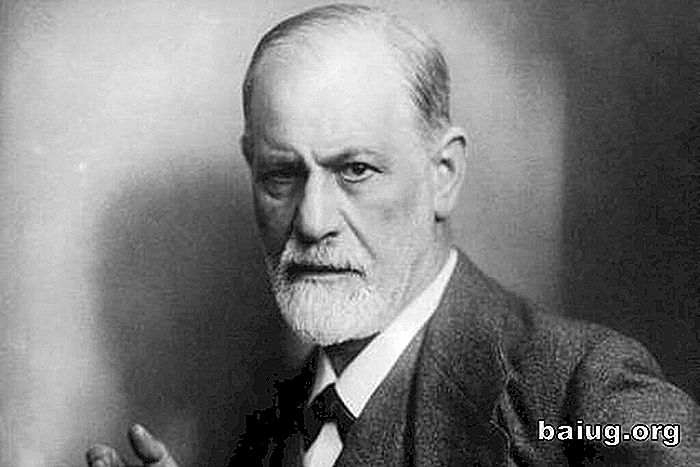Freud y otros ateos que cambiaron el mundo