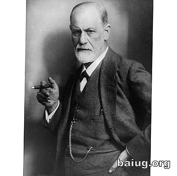 Freud, et liv fuld af nysgerrige lidenskaber