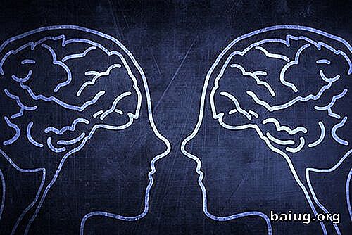 Mirrorneuroner, imitation og empati