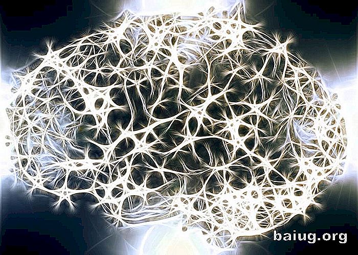Hvorfor er den hvite delen av nervesystemet så viktig?