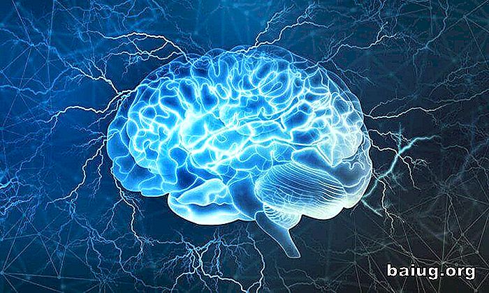 Prefrontale cortex: een van de meest interessante gebieden van de hersenen