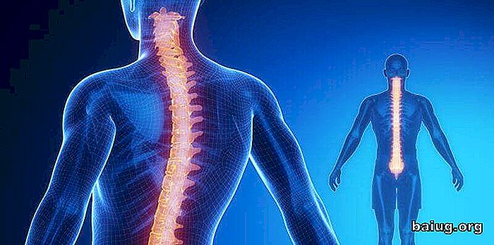 Măduva spinării: anatomie și fiziologie
