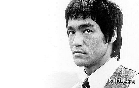 I 7 principi di adattamento, secondo Bruce Lee