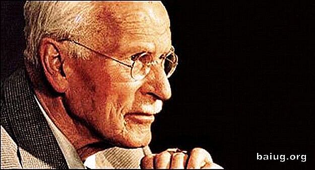 Cele 8 tipuri de personalitate, în conformitate cu Carl Jung