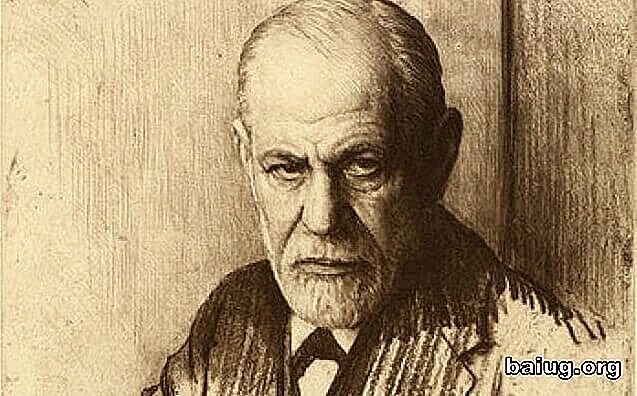 De definitie van libido volgens Sigmund Freud