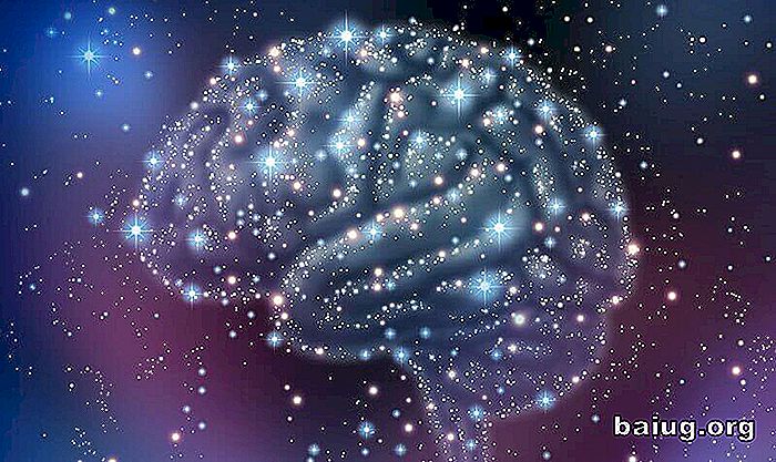 Hjärnans mysterier: autism och Einstein