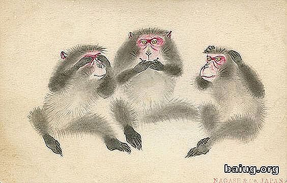 Læren til de tre vise aper av Toshogu Shrine