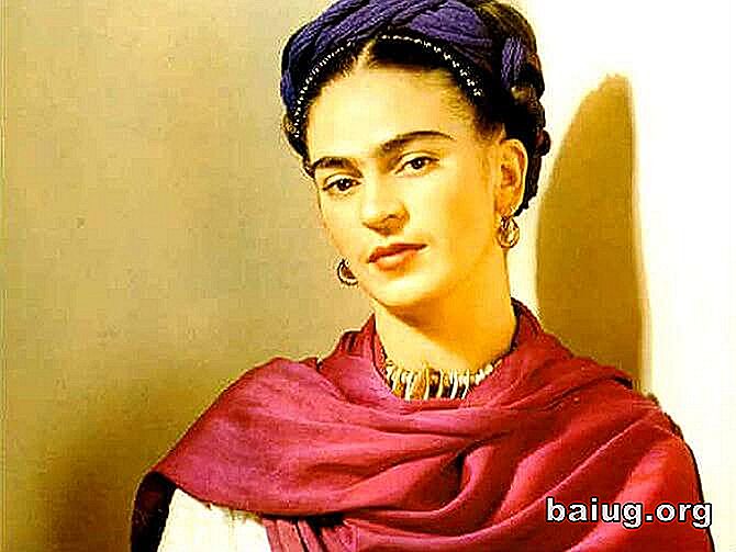16 Věty báječné Frida Kahlo Curiosities