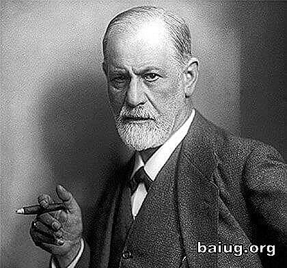 Sigmund Freud, conocido mundialmente como el padre del psicoanálisis, es uno de los personajes más influyentes y controvertidos del siglo XX.