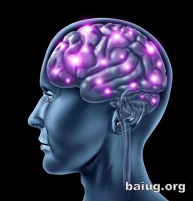 Huit faits sur le fonctionnement du cerveau