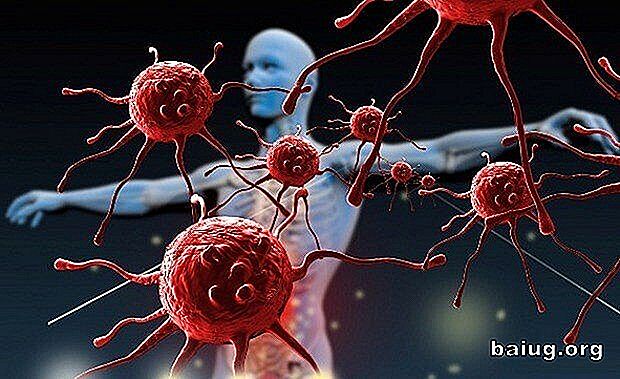 Wie stärkt man das Immunsystem?