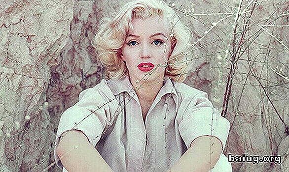 Die Marilyn Monroe