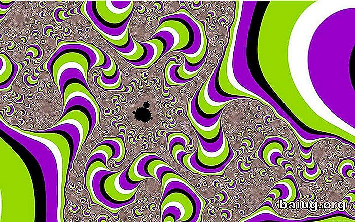 Optiske illusjoner: når hjernen er feil