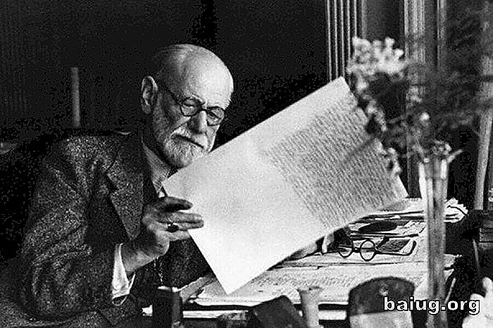 Sigmund Freud: biografie brilantní mysli