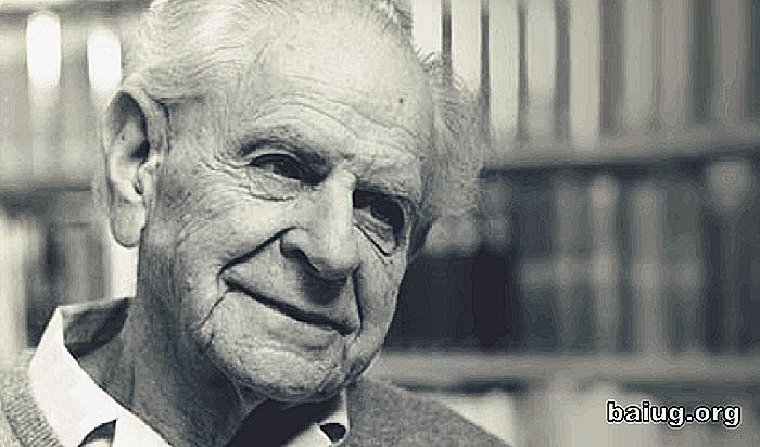 De syv beste setninger av Karl Popper Curiosities