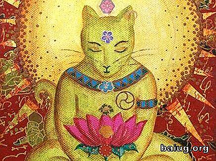 Die buddhistische Legende über Katzen