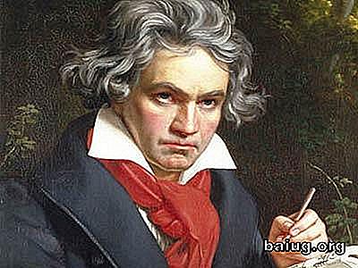 Kuriositäten über Bach