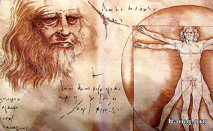 Nysgerrig Leonardo da Vinci-profetier