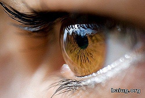 Hva overfører fargen på øynene?