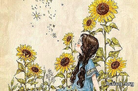 Inspiriere dich in Sonnenblumen, die immer das Licht suchen