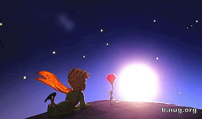Forskjellen mellom kjærlighet og kjærlighet forklart i 'The Little Prince' Følelser