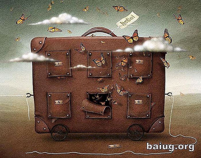 Objem Vaší zavazadla odpovídá vašim vazbám