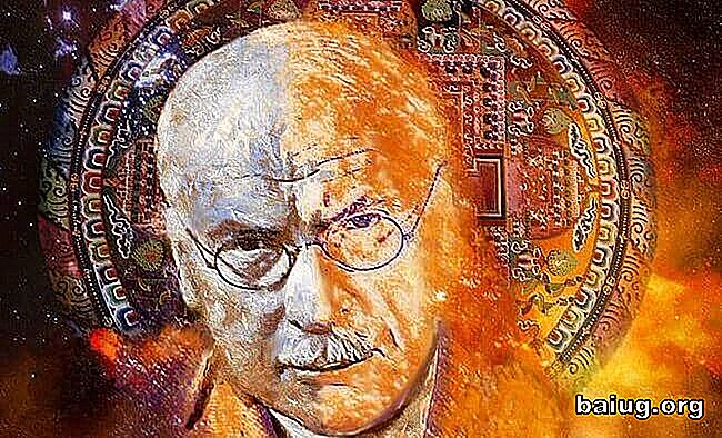 Astrologie in der Psychoanalyse Carl Jung