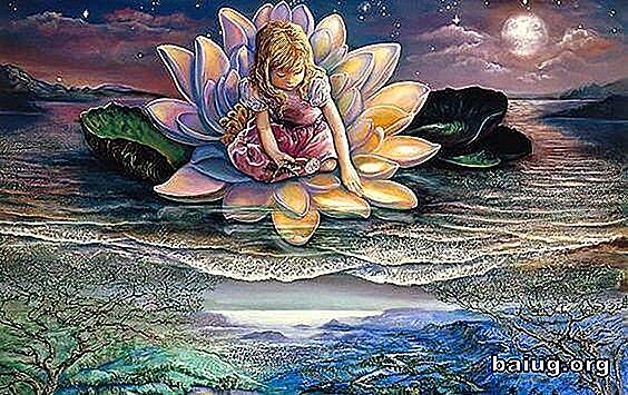 Fi ca floarea de lotus: renaște în fiecare zi în fața adversității