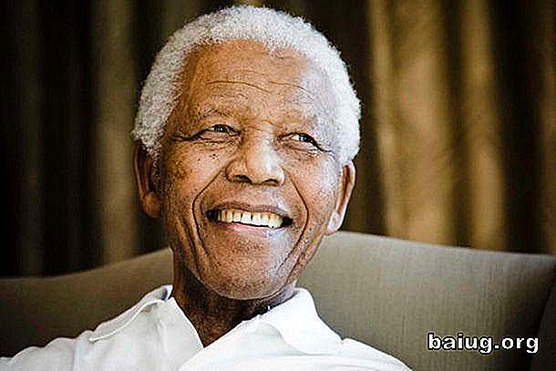 ¿Usted conoce el curioso Efecto Mandela?