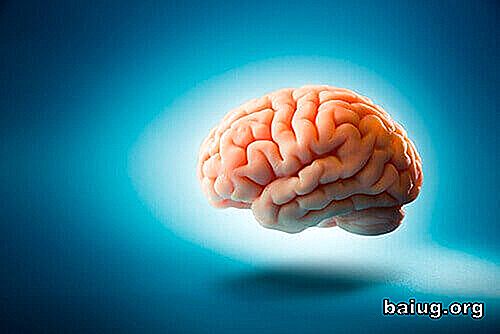 Treffen 5 Mythen über die menschliche Gehirn Psychologie