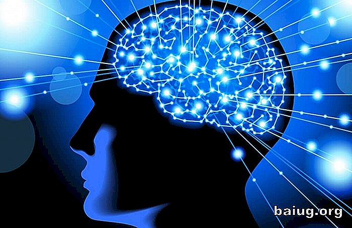 Neurowissenschaften, ein Weg, das Verhalten des Geistes zu verstehen