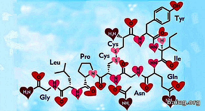 Oxytocin: herauszufinden, wie die Hormone Handlungen
