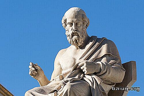 Platos beste setninger for å forstå verden