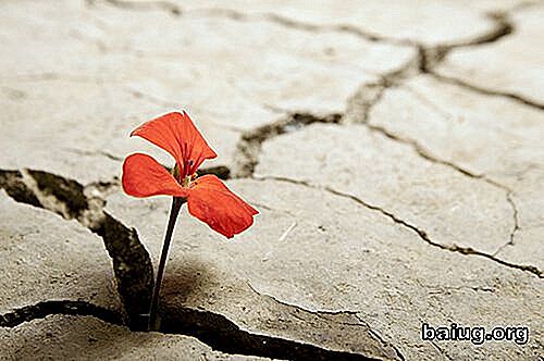 Resilienz: Widrigkeiten machen mich stärker