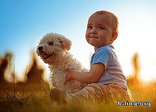 Fördelarna med samexistens mellan djur och spädbarn Psychology