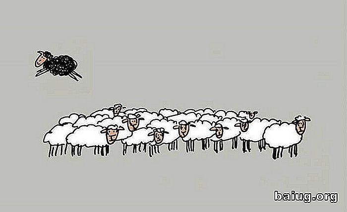 Das schwarze Schaf ist nicht schlecht: es ist einfach anders