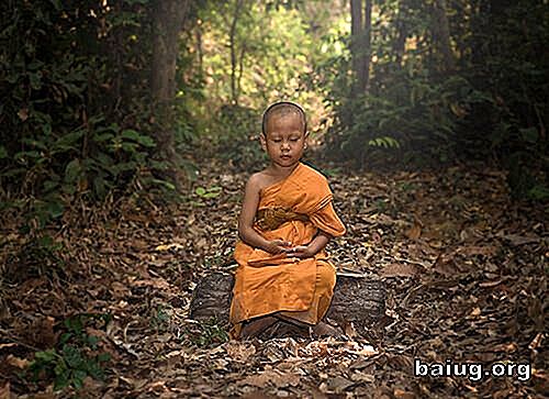 De monnik en chocolade ijs, een boeddhistisch verhaal over ego