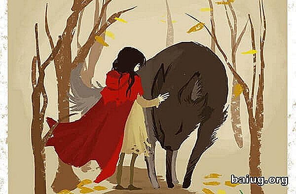 Ulven vil alltid være dårlig hvis du bare hører Little Red Riding Hood Psykologi