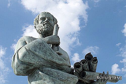 5 Geni fraser av Aristoteles