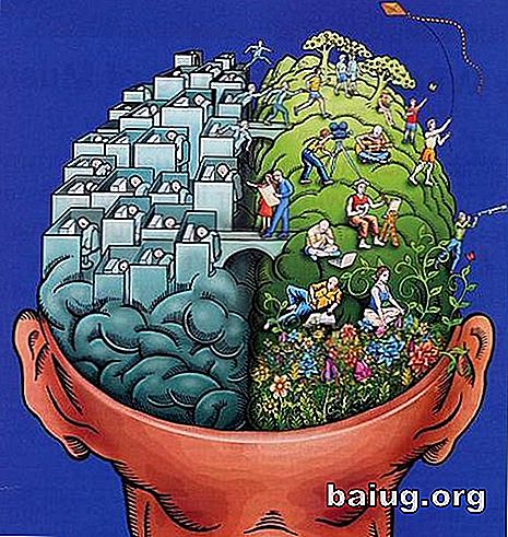 Mozgové hemisféry a osobnost: způsobuje mýtus spadnutí na zem?