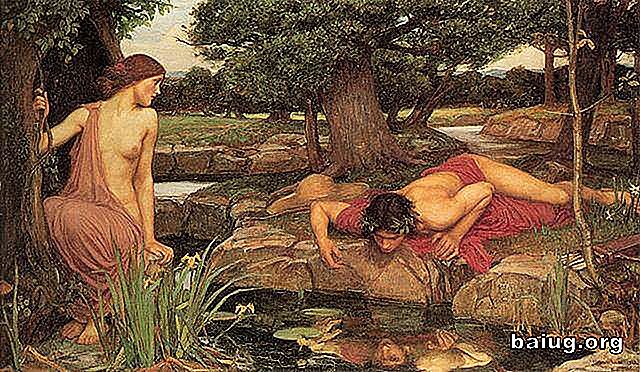 Narciso, berättelsen om ett egocentriskt oförbätterliga Kuriosa