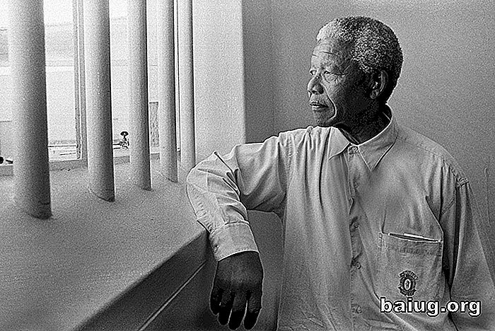 Nelson Mandela fraser som har inspirerat mänskligheten Kuriosa