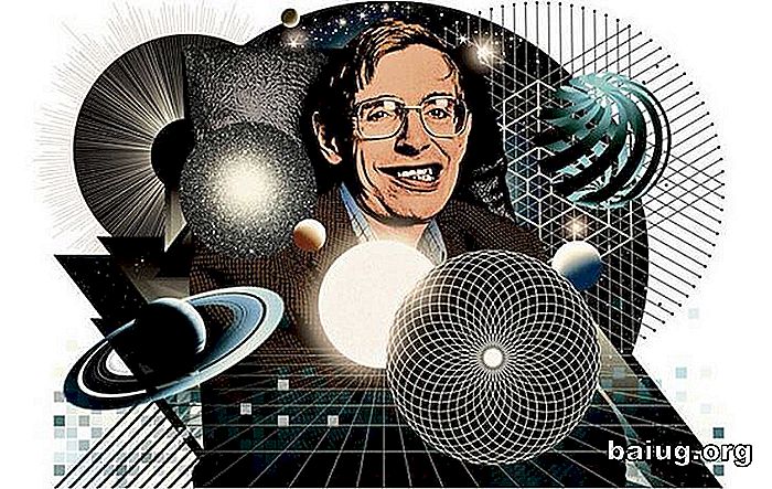 Stephen Hawking: 21 av sine refleksjoner om livet