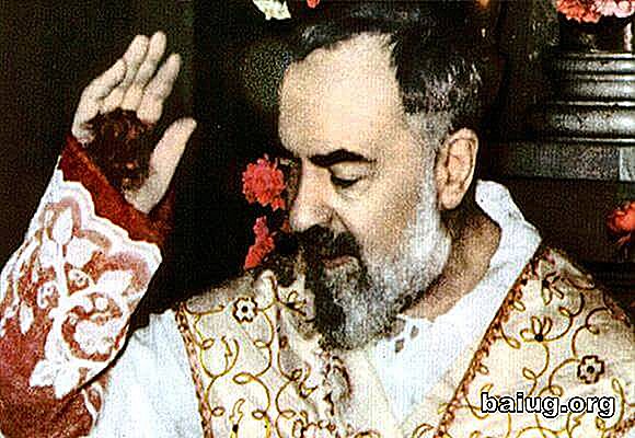Zvědavý historie Padre Pio kuriozit