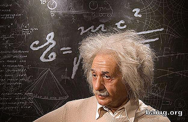 Visdom Albert Einstein Trivia