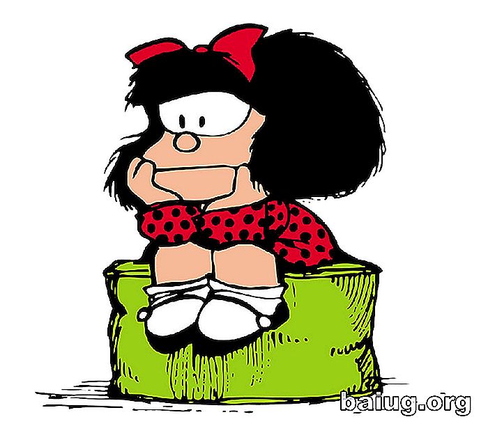 Visdom Mafalda
